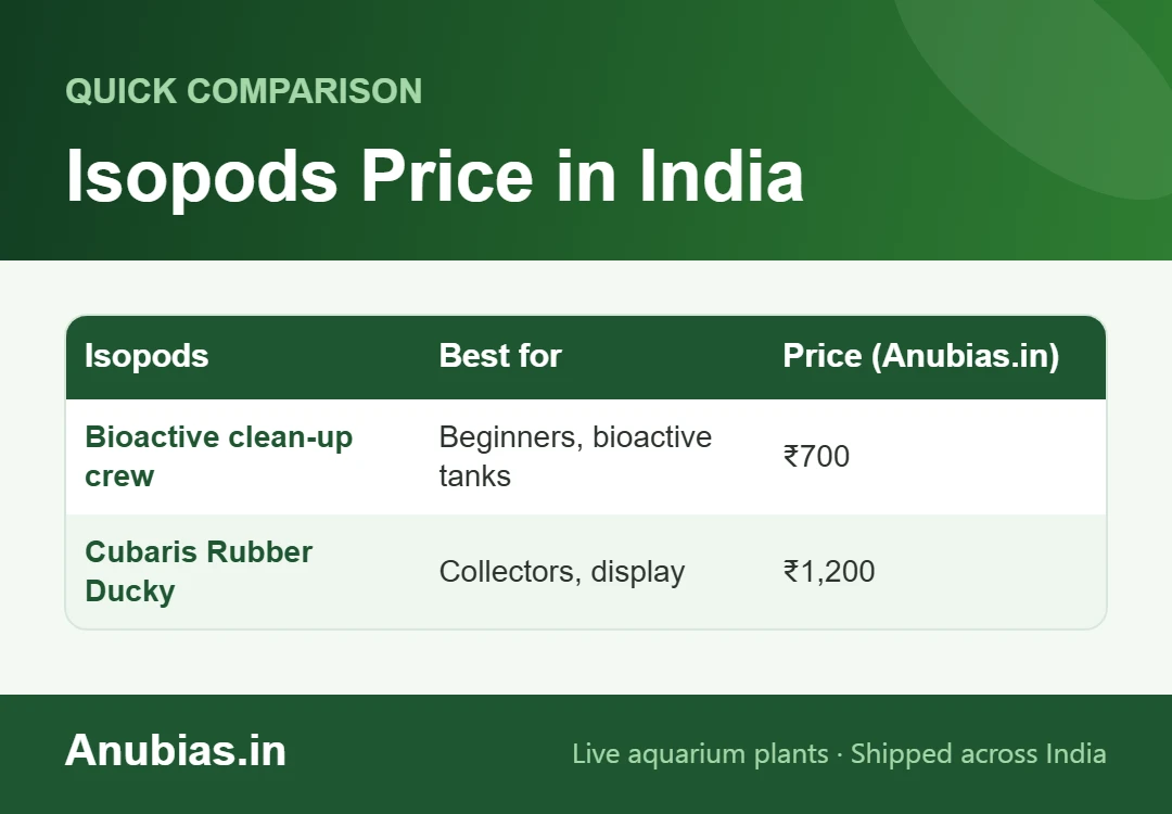 Isopods price in India chart: clean-up crew ₹700 and Cubaris Rubber Ducky ₹1,200