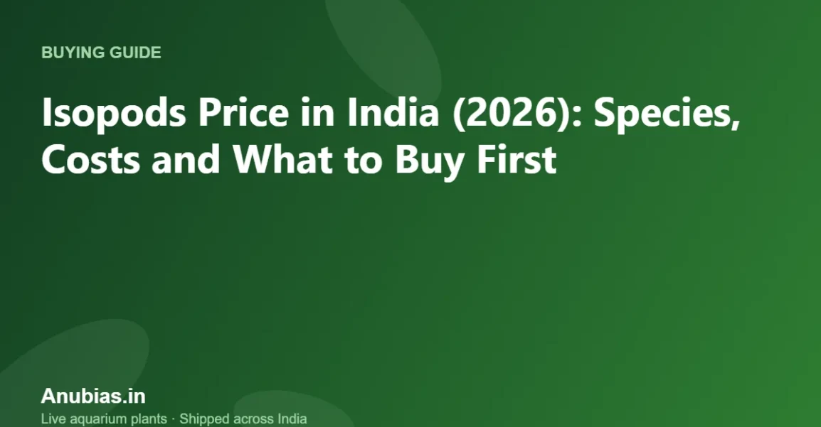 Isopods Price in India (2026): Species, Costs and What to Buy First – Anubias.in