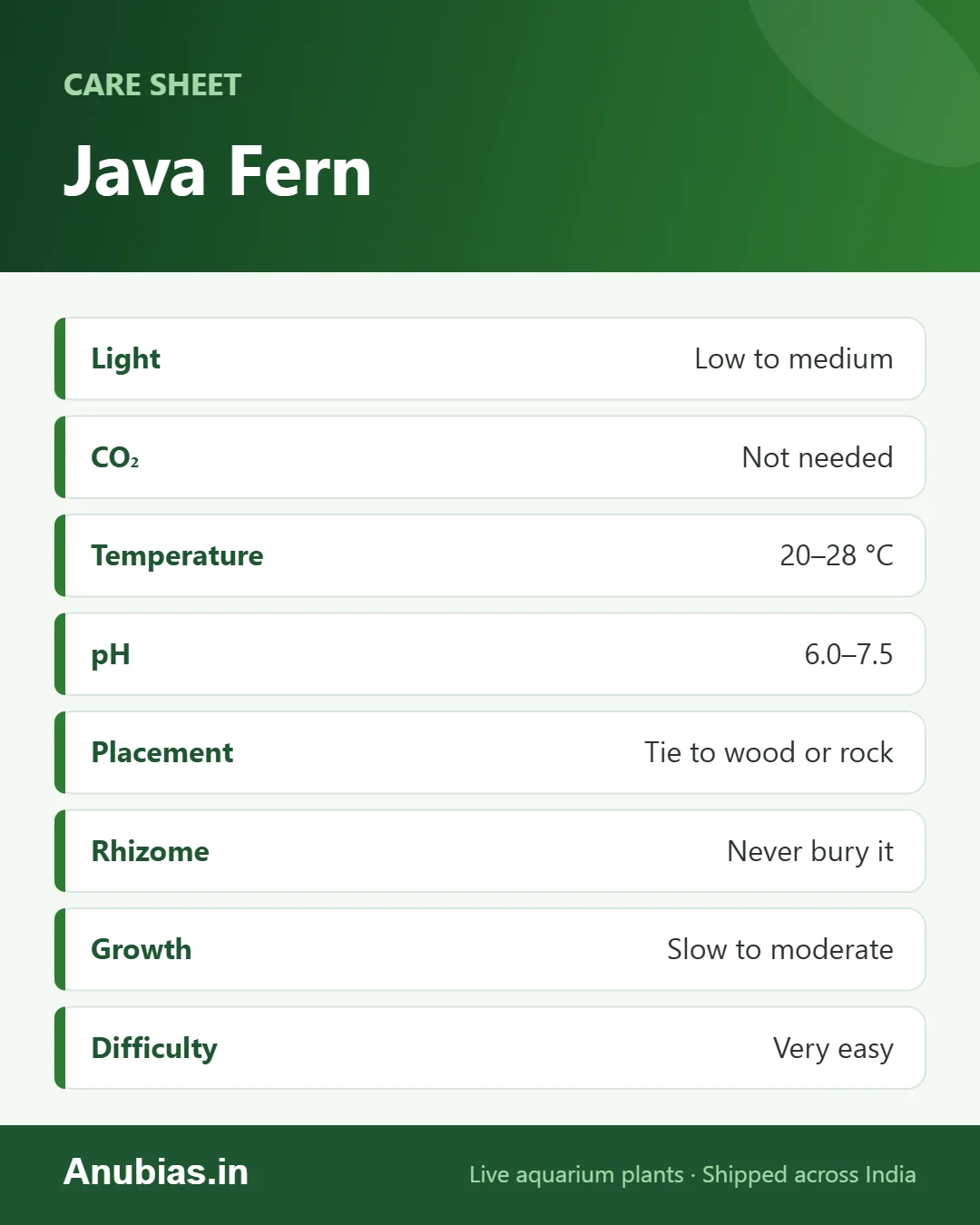 Java Fern care sheet: Light, CO₂, Temperature, pH and more