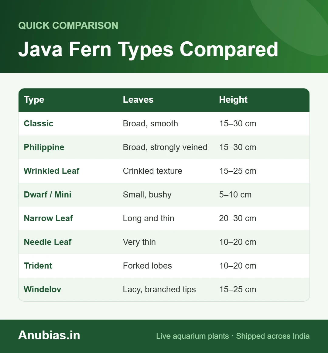 Java fern types chart: classic, Philippine, Wrinkled Leaf, Dwarf, Narrow Leaf, Needle Leaf, Trident and Windelov with leaf shape and height