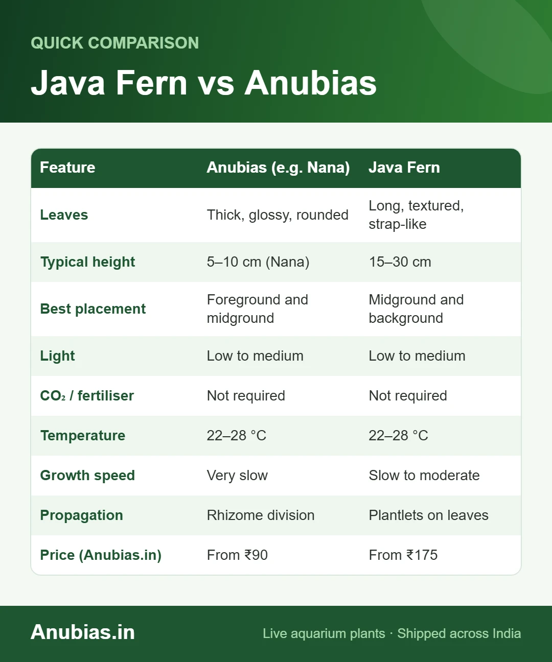 Java Fern vs Anubias comparison chart: leaves, height, placement, light, growth and price
