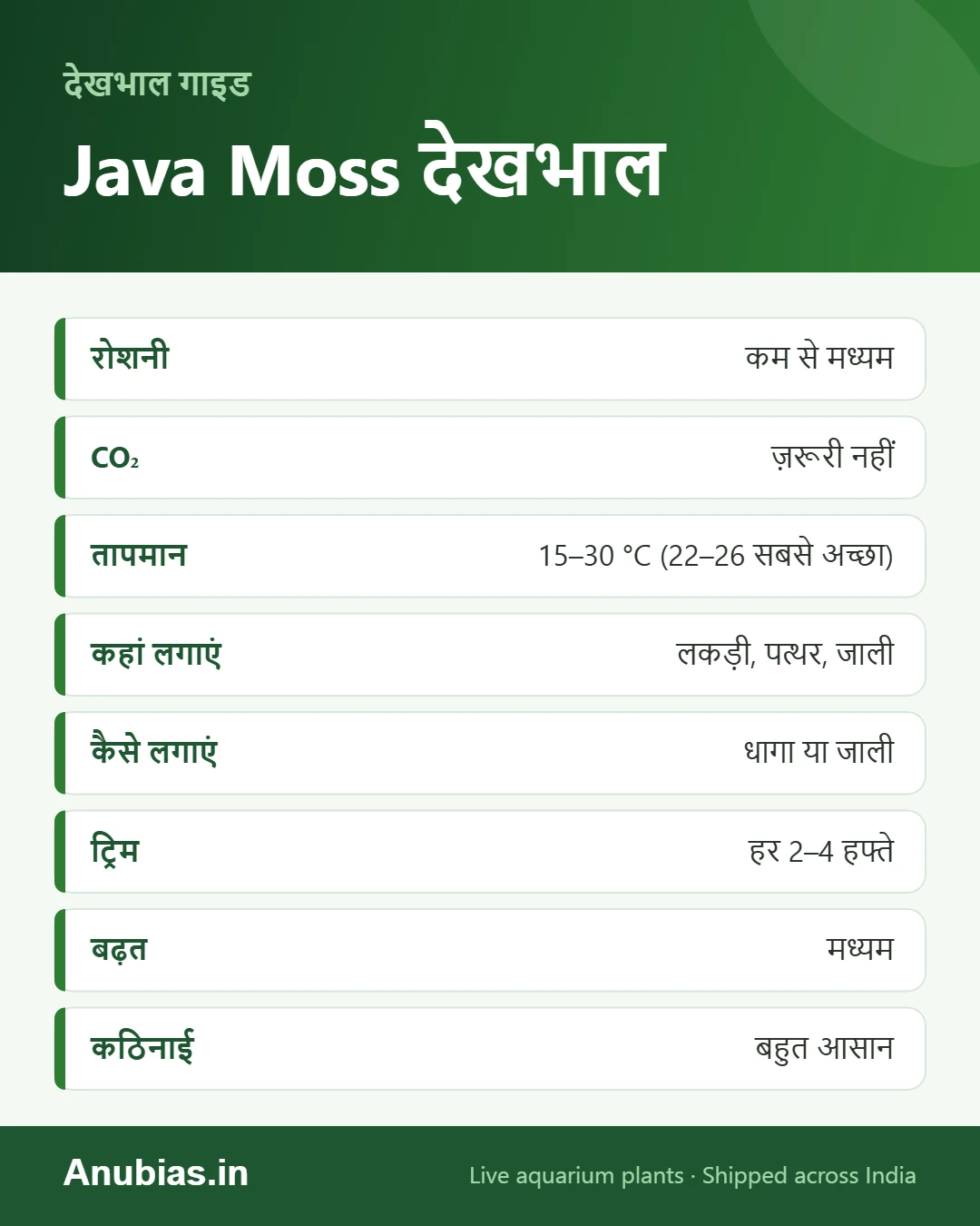 Java moss देखभाल इन्फोग्राफिक