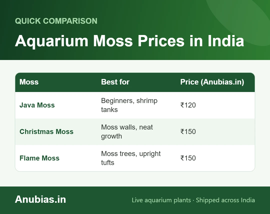 Chart of Java moss, Christmas moss and Flame moss prices in India