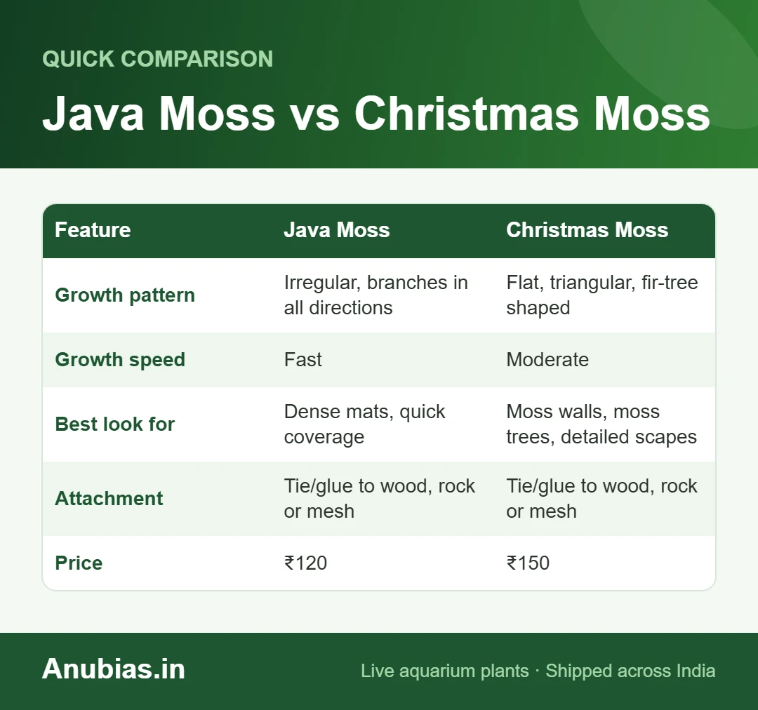 Java Moss vs Christmas Moss chart: Java Moss, Christmas Moss compared