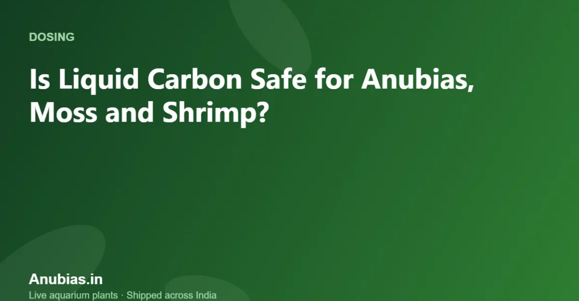 Is Liquid Carbon Safe for Anubias, Moss and Shrimp? – Anubias.in