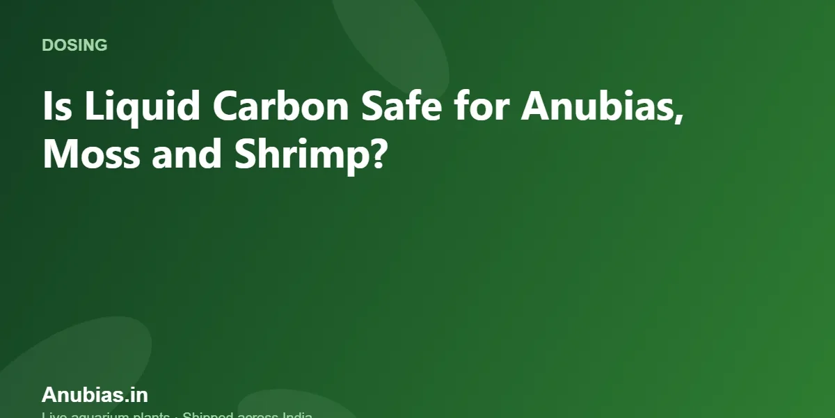 Is Liquid Carbon Safe for Anubias, Moss and Shrimp? – Anubias.in