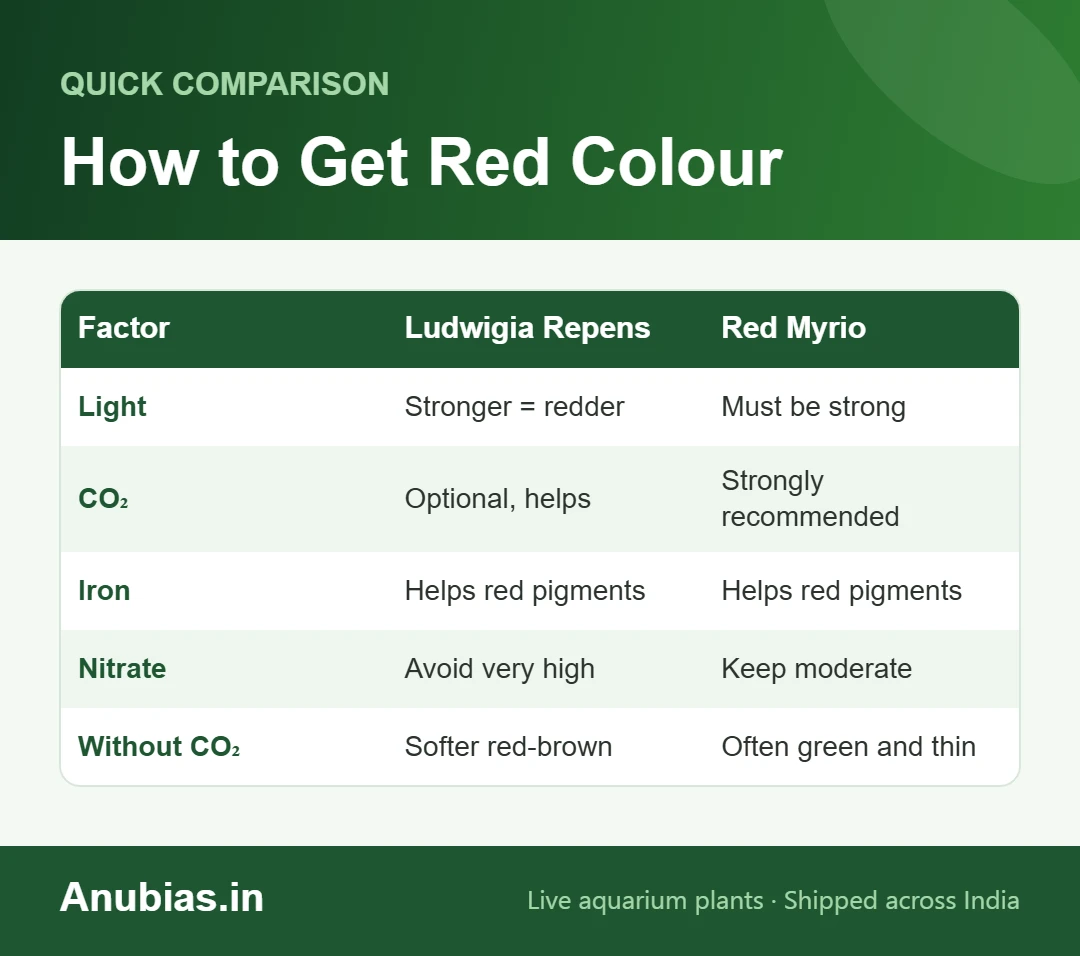 Chart of how to get red colour in Ludwigia repens and Red Myrio: light, CO2, iron and nitrate