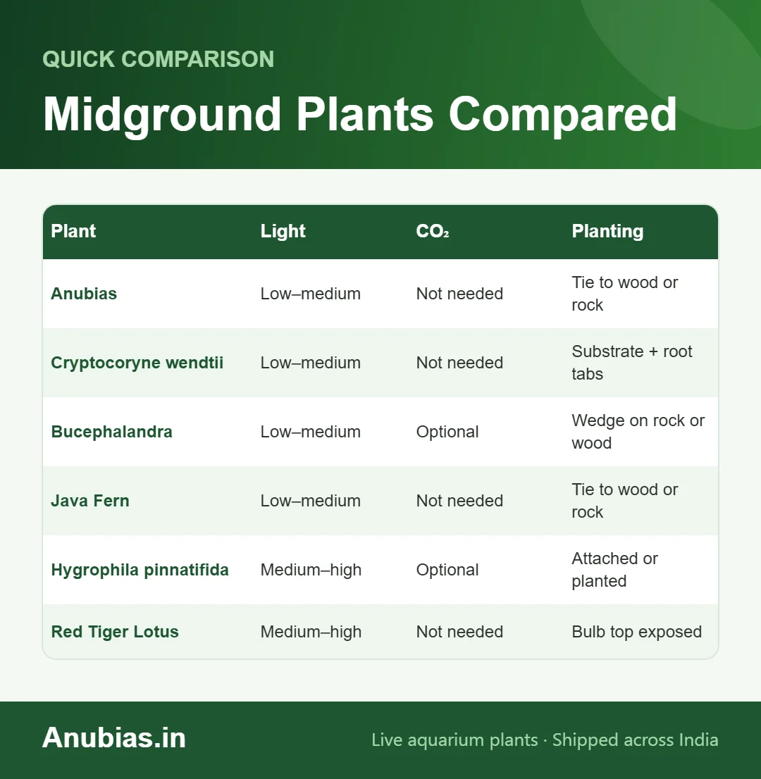 Chart comparing midground aquarium plants by light, CO2 and planting method