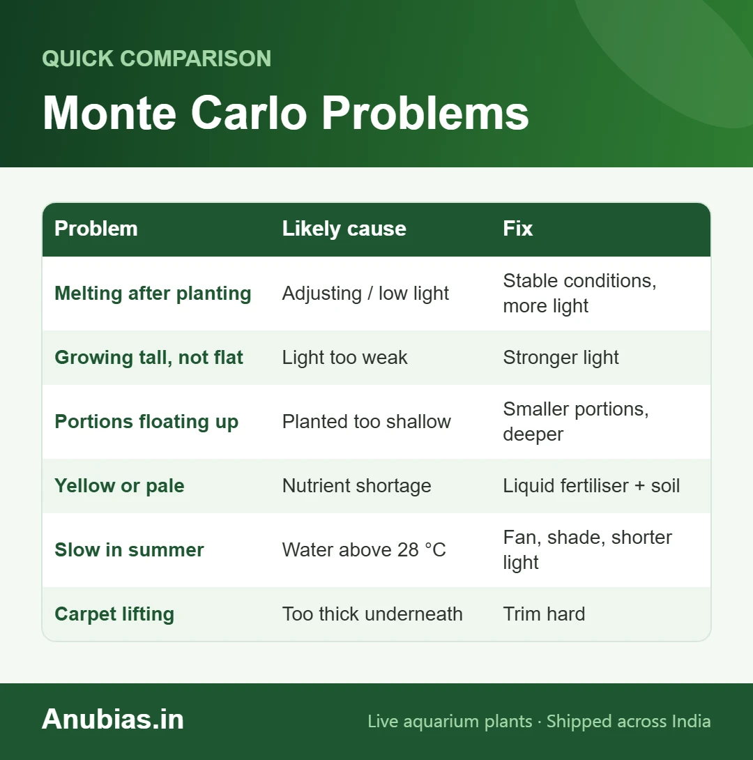 Monte Carlo carpet problems chart: melting, tall growth, floating portions, yellowing, heat and lifting
