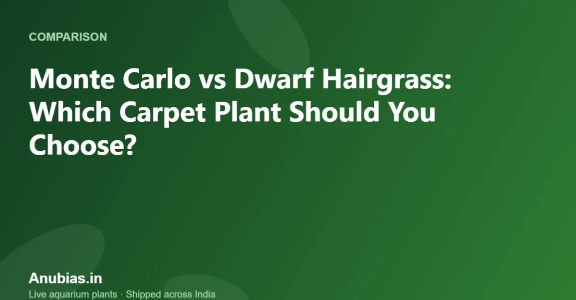 Monte Carlo vs Dwarf Hairgrass: Which Carpet Plant Should You Choose? – Anubias.in
