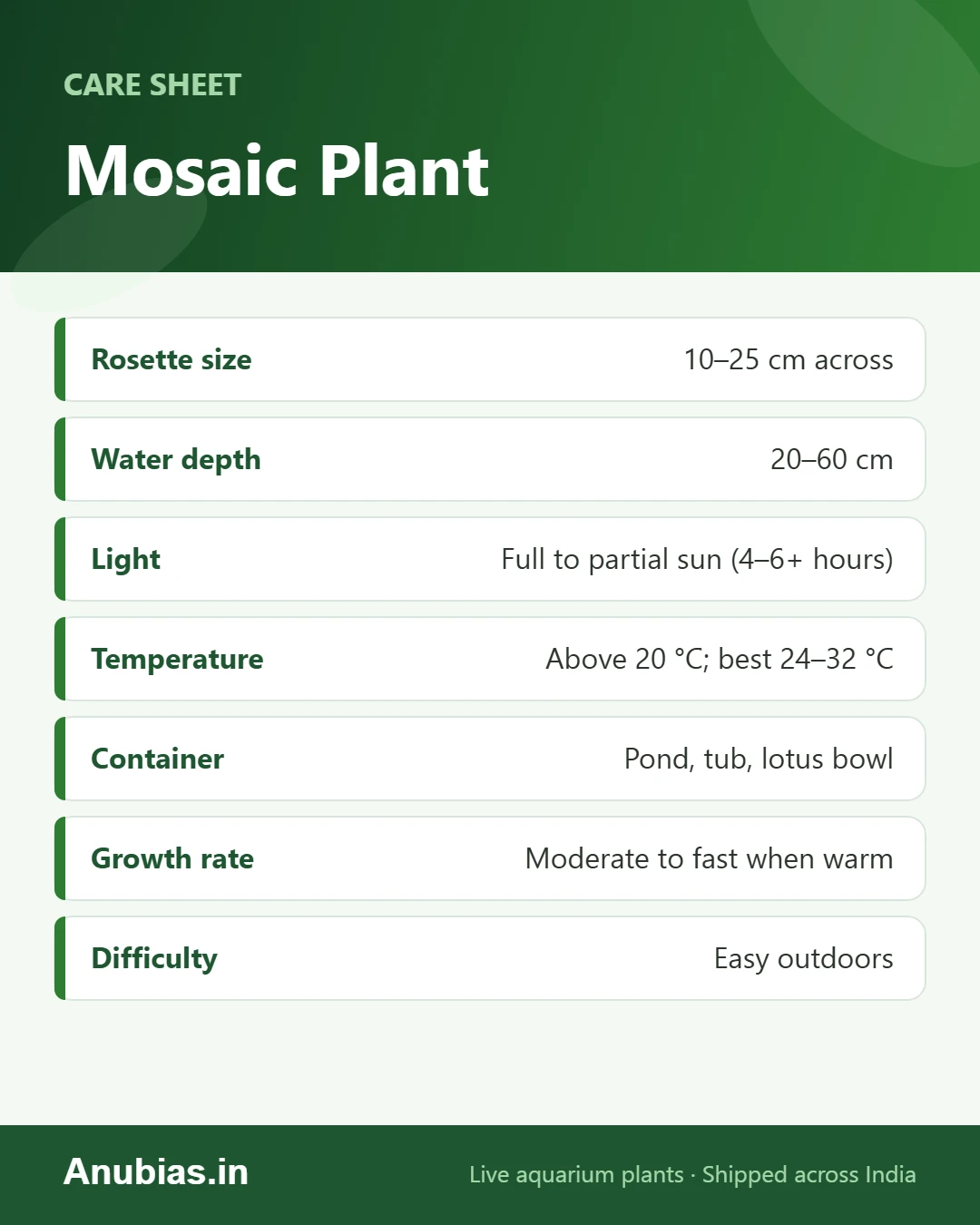 Mosaic Plant care sheet: Rosette size, Water depth, Light, Temperature and more