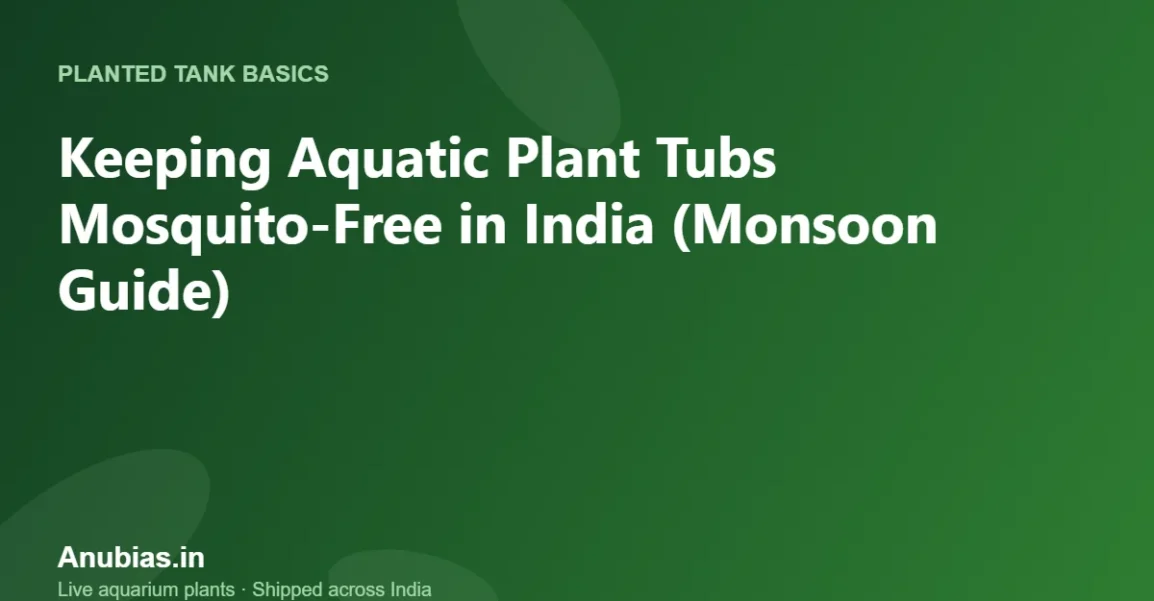 Keeping Aquatic Plant Tubs Mosquito-Free in India (Monsoon Guide) – Anubias.in
