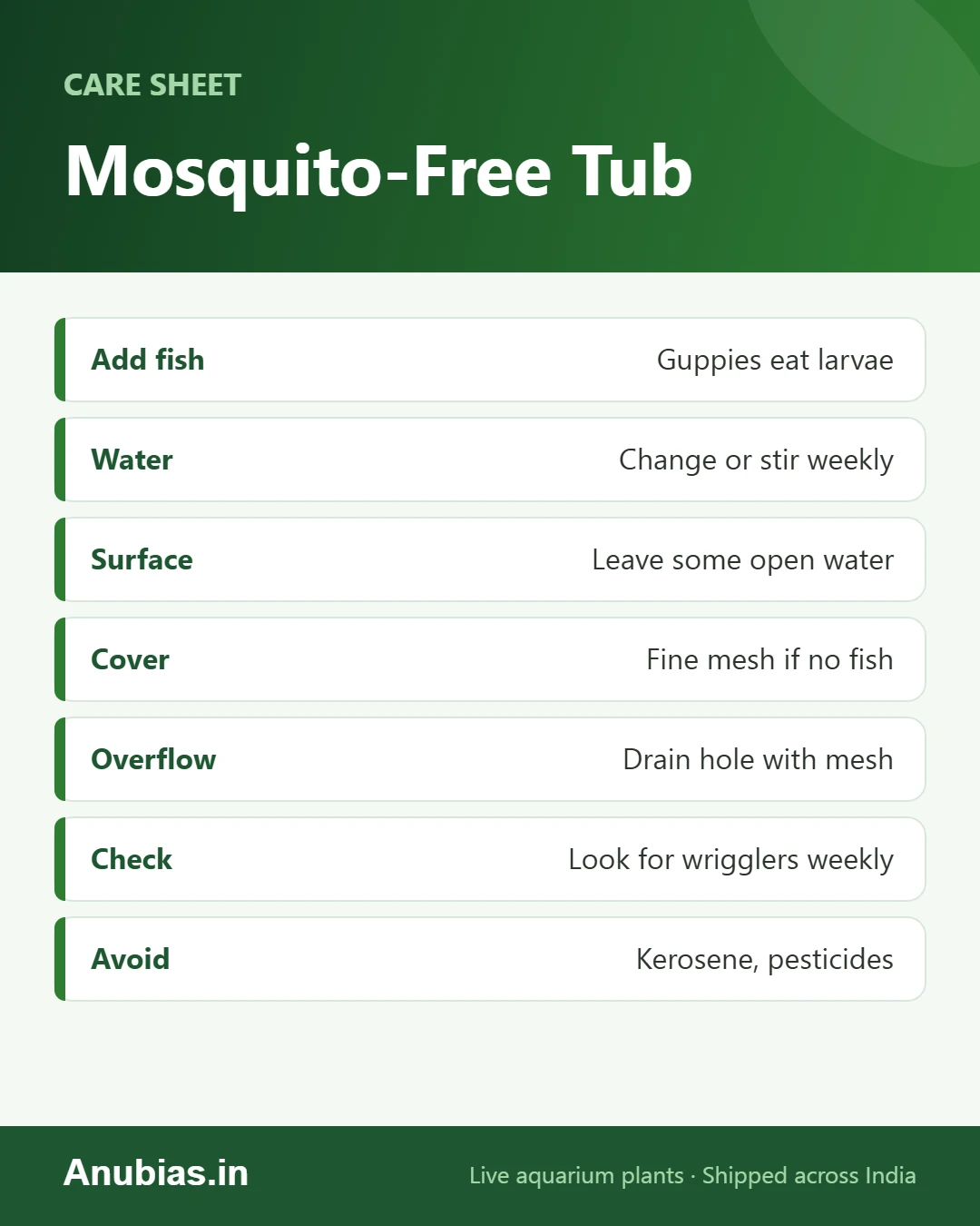 Mosquito-free plant tub checklist: fish, water changes, open surface, mesh cover and what to avoid