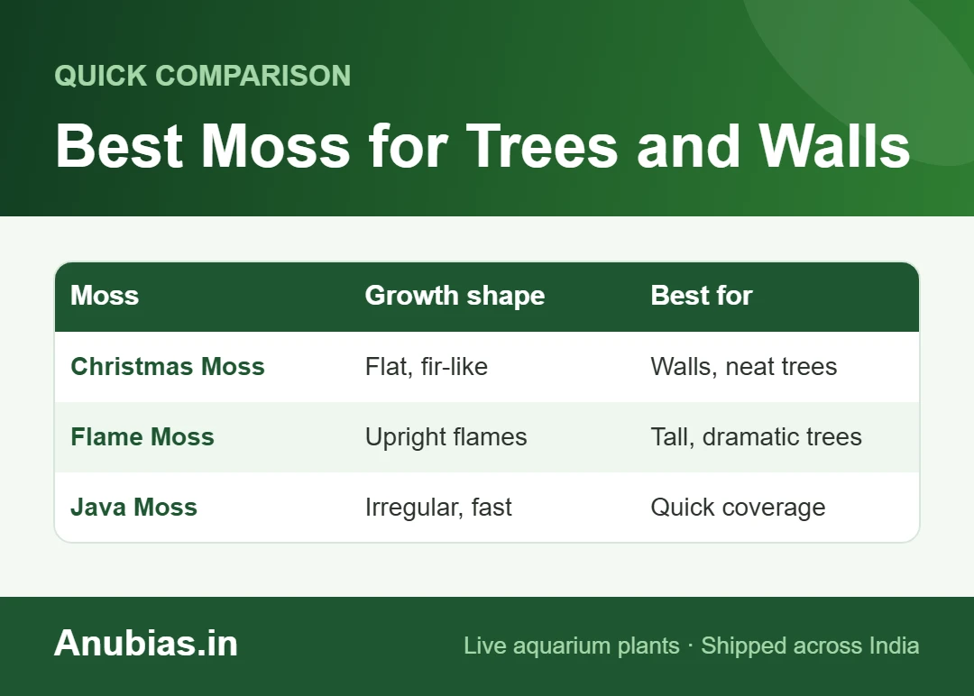 Chart comparing Christmas, Flame and Java moss for aquarium moss trees and moss walls