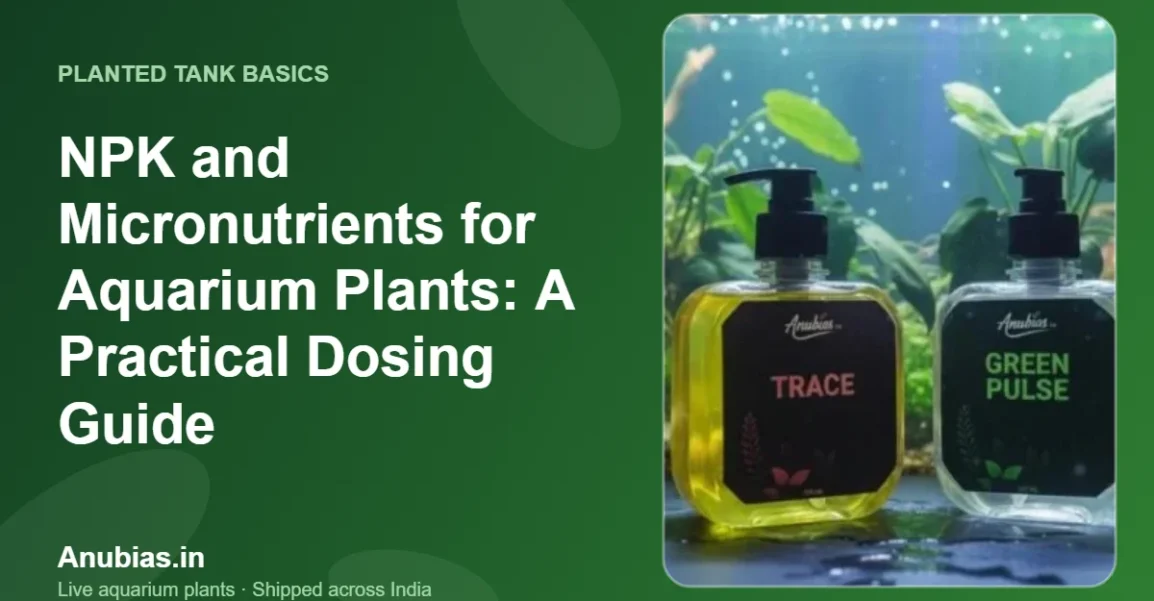 NPK and Micronutrients for Aquarium Plants: A Practical Dosing Guide – Anubias.in