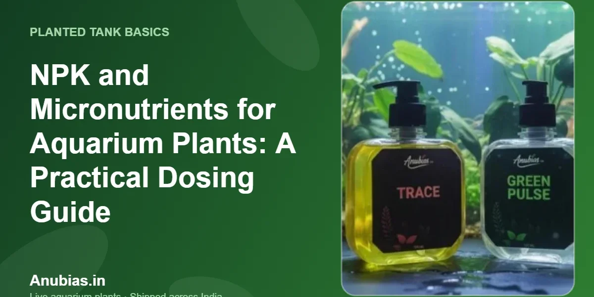 NPK and Micronutrients for Aquarium Plants: A Practical Dosing Guide – Anubias.in