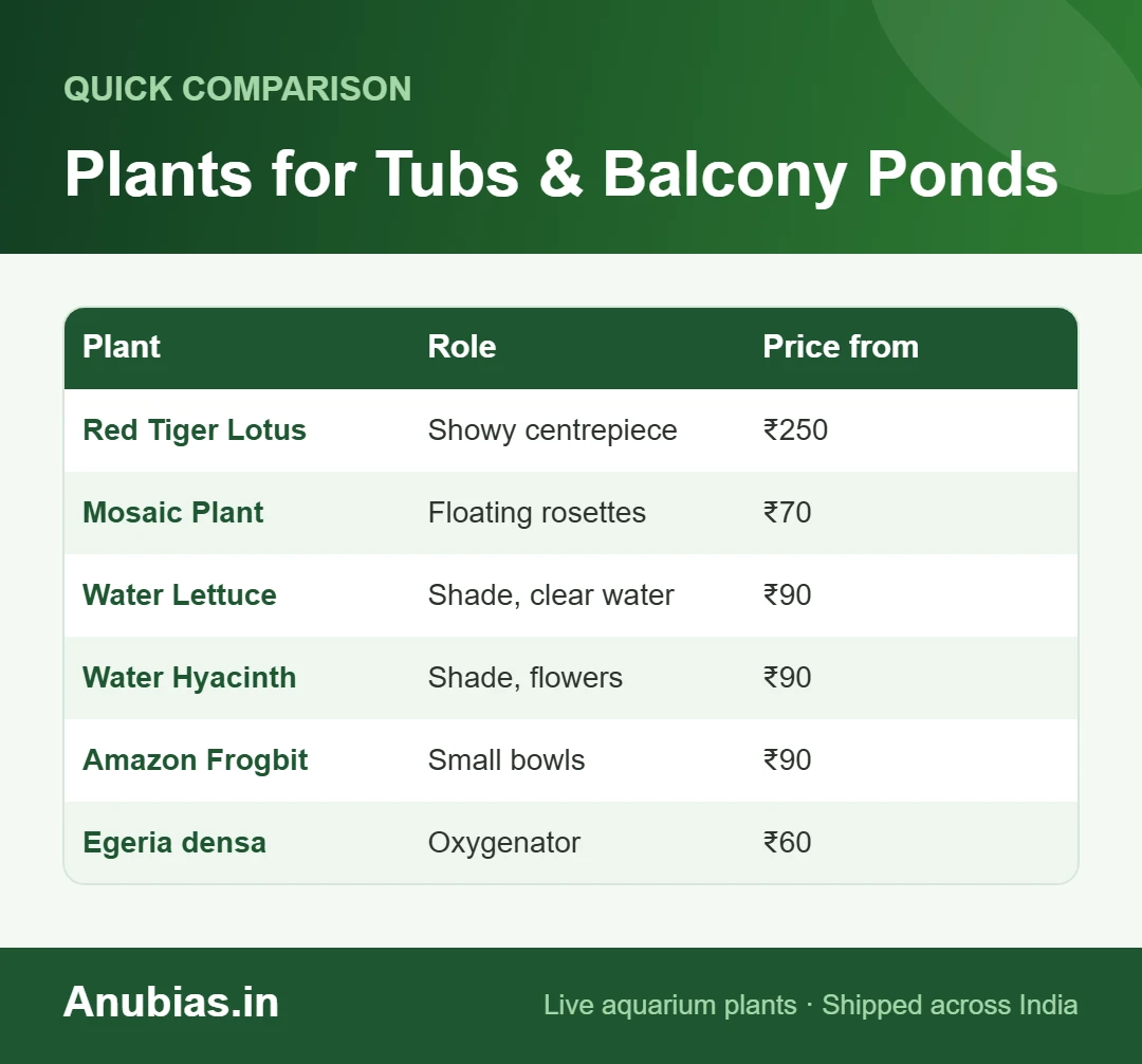 Chart of plants for outdoor tubs and balcony ponds in India with prices