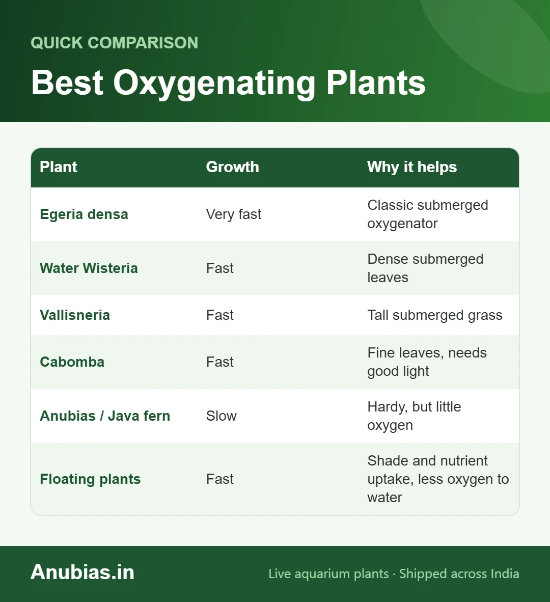 Chart of the best oxygenating aquarium plants