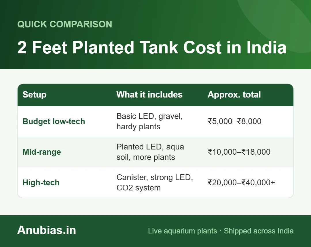Chart of 2 feet planted aquarium setup cost in India for low-tech, mid-range and high-tech tanks