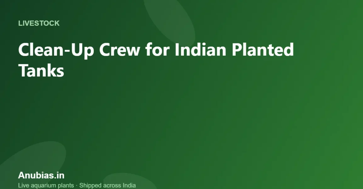 Clean-Up Crew for Indian Planted Tanks: What Works – Anubias.in