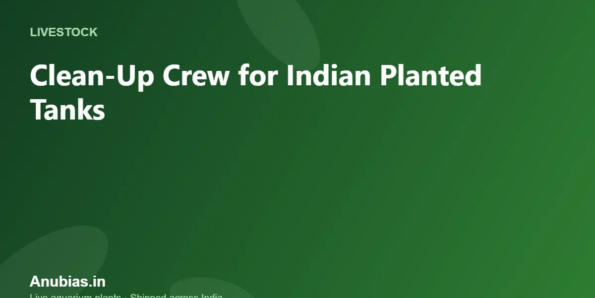 Clean-Up Crew for Indian Planted Tanks: What Works – Anubias.in