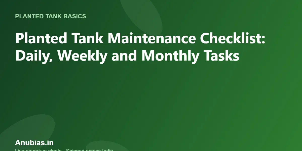 Planted Tank Maintenance Checklist: Daily, Weekly and Monthly Tasks – Anubias.in
