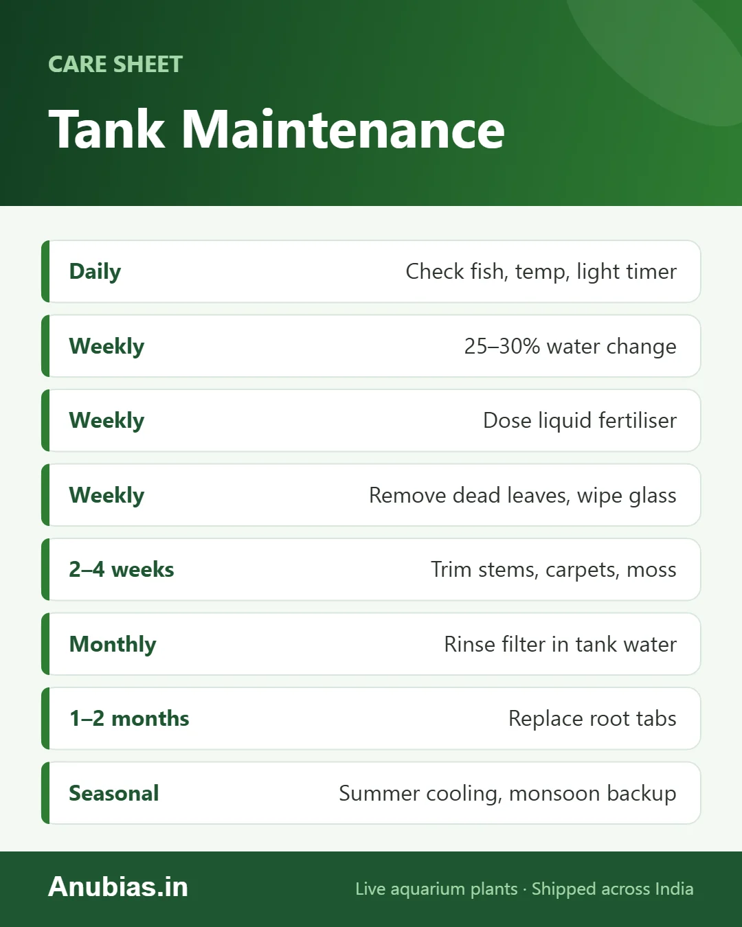 Planted tank maintenance checklist: daily, weekly, monthly and seasonal tasks