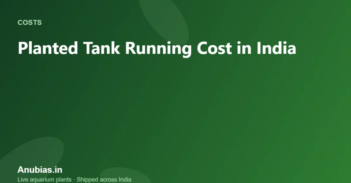 Planted Tank Running Cost in India: Monthly Budget – Anubias.in