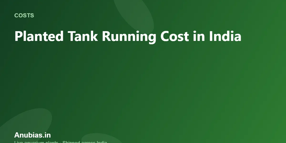 Planted Tank Running Cost in India: Monthly Budget – Anubias.in