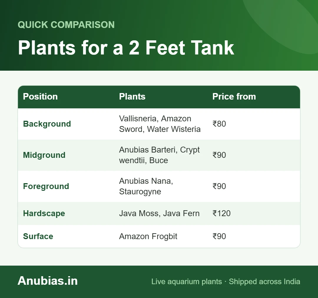 Chart of the best aquarium plants for a 2 feet tank in India by position with prices