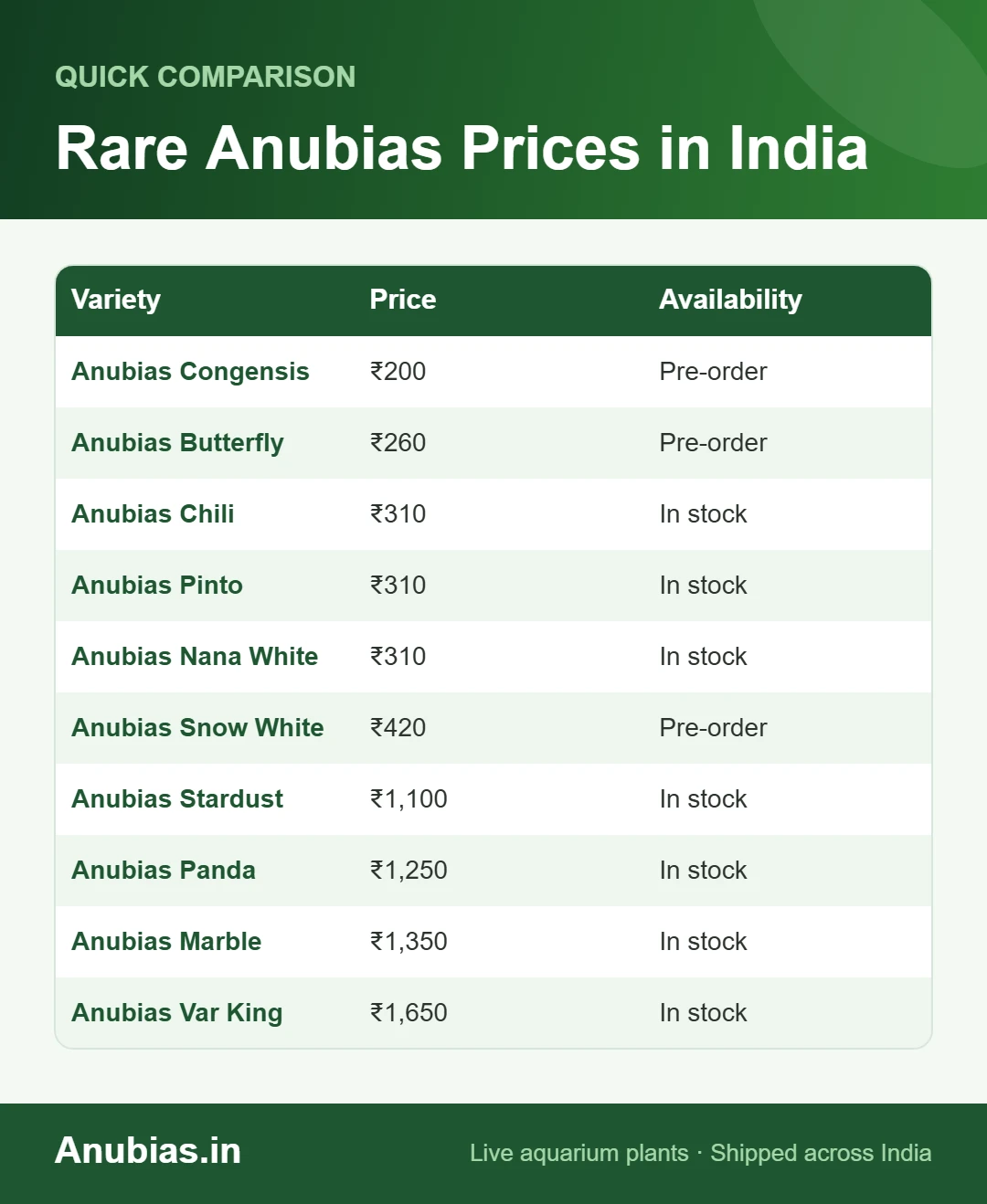 Rare Anubias Prices in India chart: Price, Availability compared