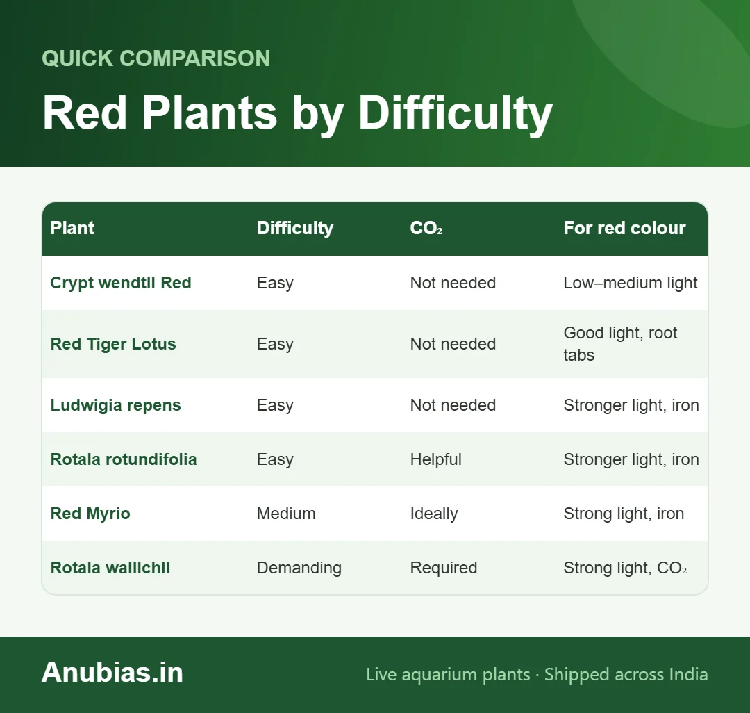 Chart of red aquarium plants by difficulty and CO2 needs