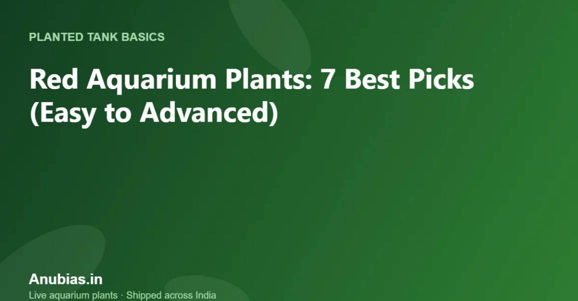 Red Aquarium Plants: 7 Best Picks (Easy to Advanced) – Anubias.in