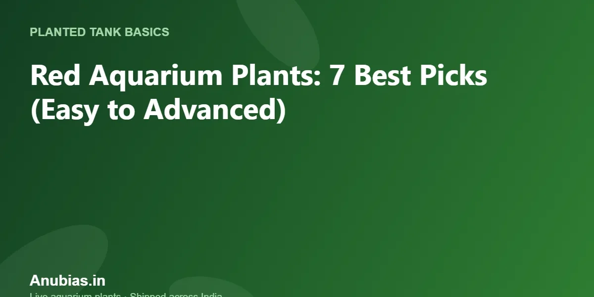 Red Aquarium Plants: 7 Best Picks (Easy to Advanced) – Anubias.in