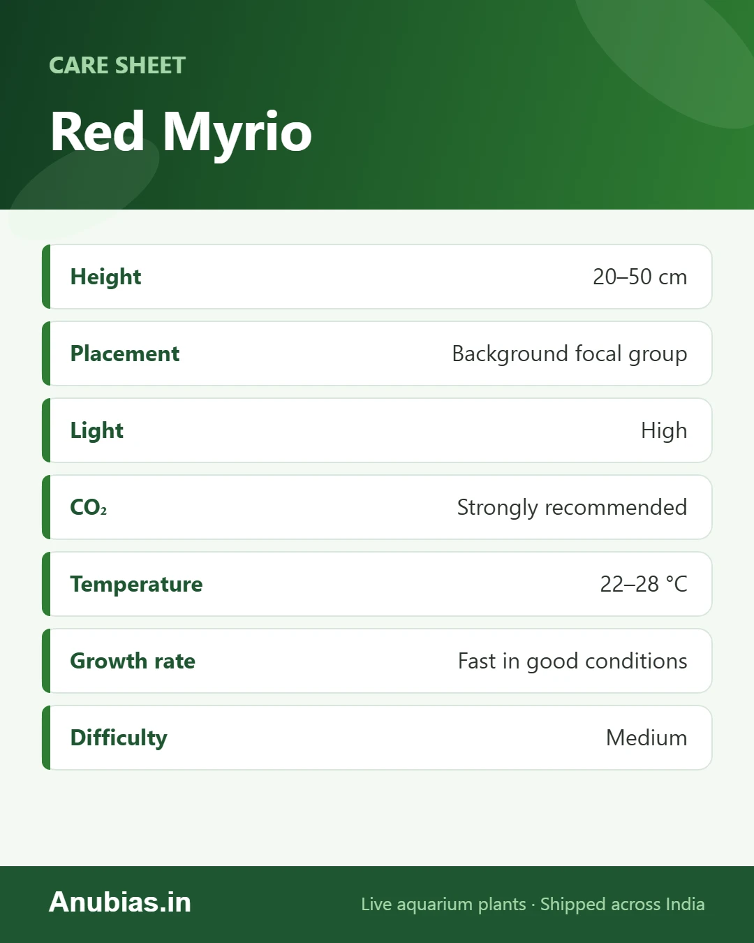 Red Myrio care sheet: Height, Placement, Light, CO₂ and more