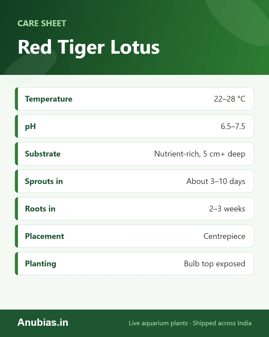 Red Tiger Lotus care sheet: Temperature, pH, Substrate, Sprouts in and more