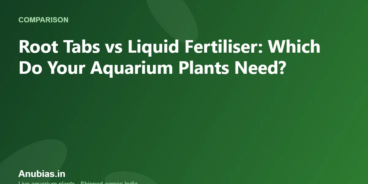 Root Tabs vs Liquid Fertiliser: Which Do Your Aquarium Plants Need? – Anubias.in