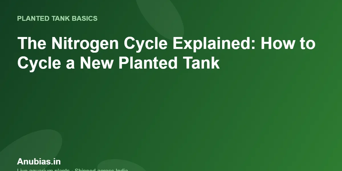 The Nitrogen Cycle Explained: How to Cycle a New Planted Tank – Anubias.in