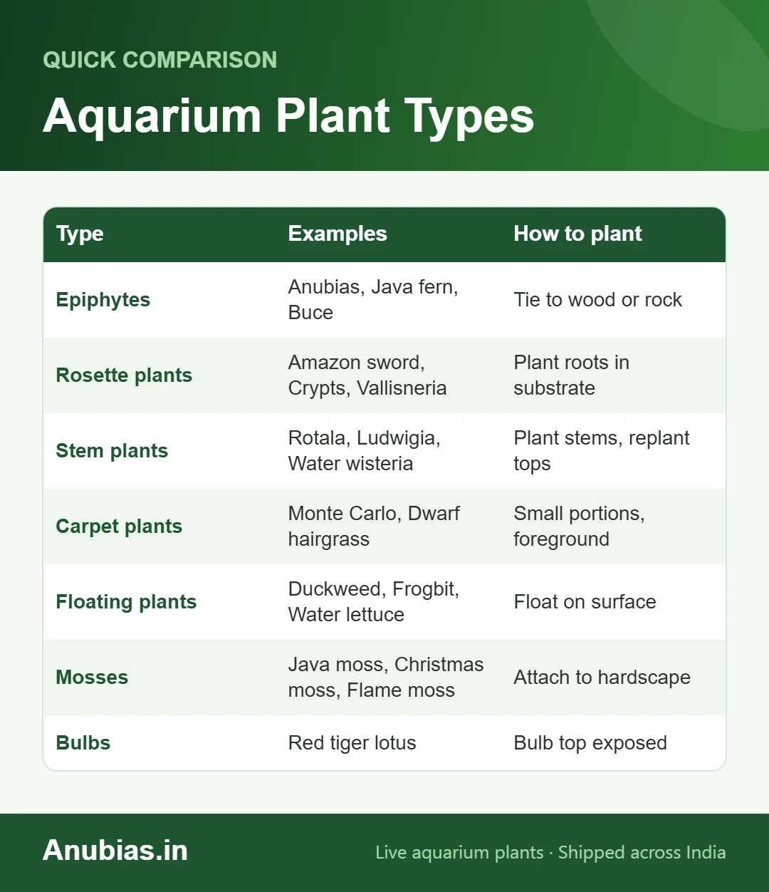 Chart of the main types of aquarium plants with examples