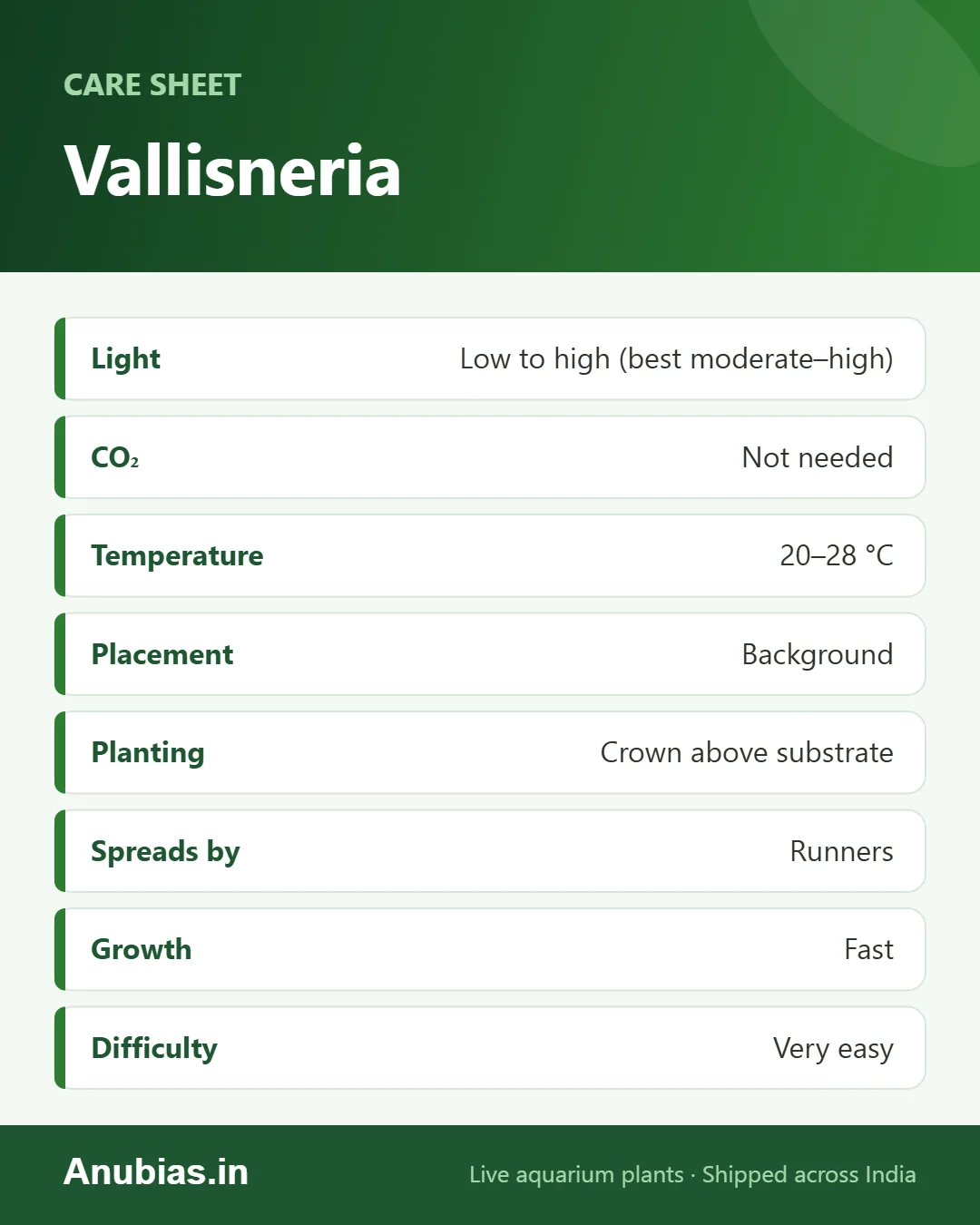 Vallisneria Nana care sheet: pH, Hardness, CO₂, Placement and more