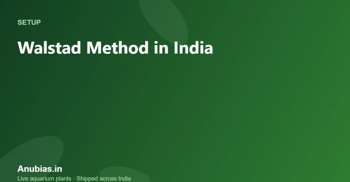 Walstad Method in India: Dirted Tank With Local Soil – Anubias.in