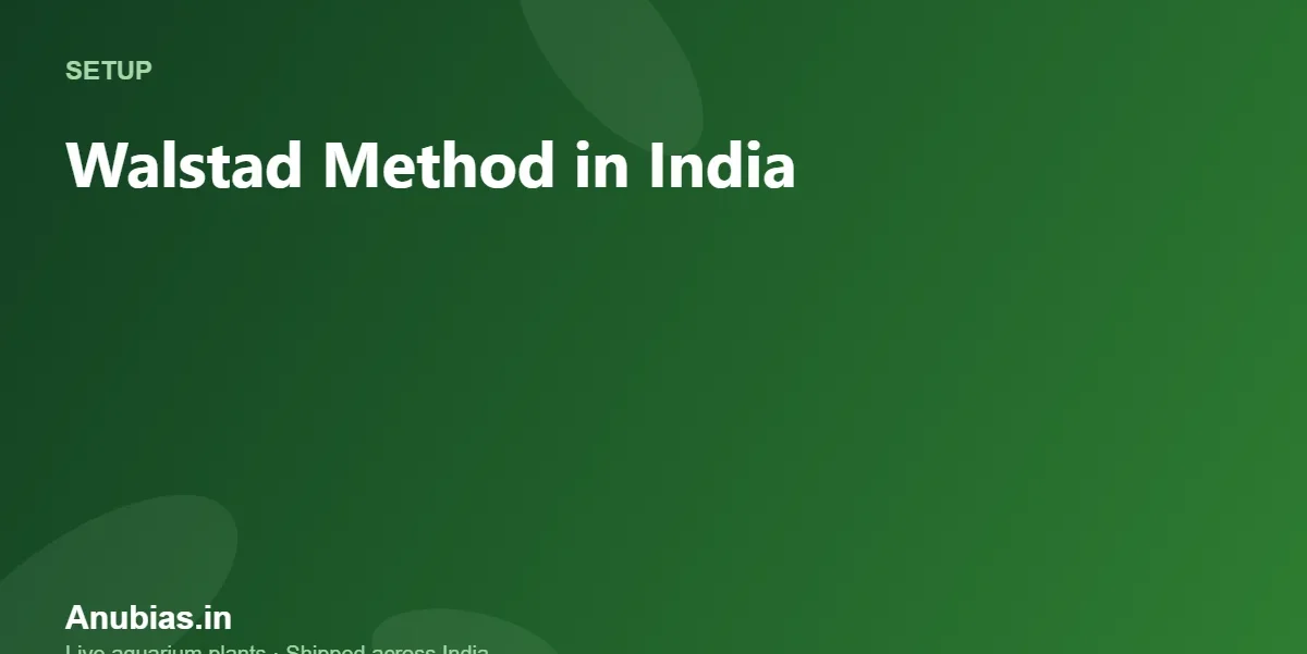 Walstad Method in India: Dirted Tank With Local Soil – Anubias.in