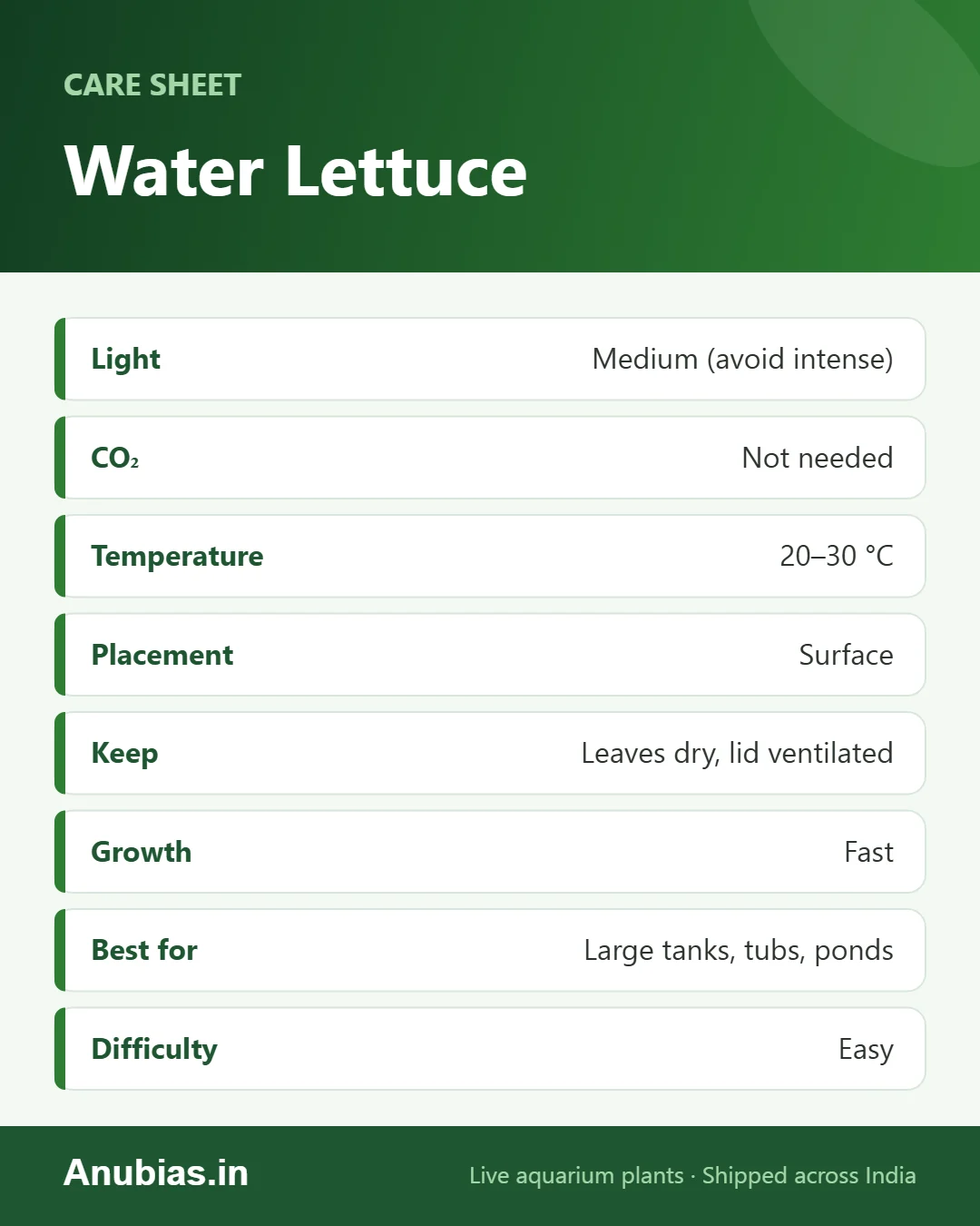 Water Lettuce care sheet: Light, pH, Hardness, Placement and more