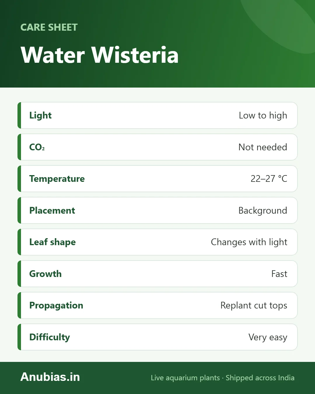 Water Wisteria care sheet: Temperature, pH, Hardness, CO₂ and more